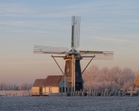 Mühle in Aagtekerke im Winter