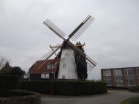 Mühle in Grijpskerke Mühle in Grijpskerke