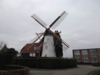 Mühle in Grijpskerke