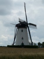 Mühle in Nieuwland
