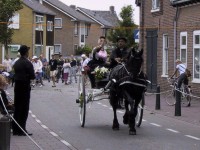 Sjezenrijden: Sjezenrijden ist eine besondere Form des Ringrijdens.