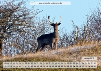 Jahreskalender 2018 A3 Quer Vorschau 1 Jahreskalender 2018 A3 Quer Vorschau 1