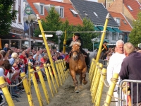 Ringreiten Domburg in Tracht